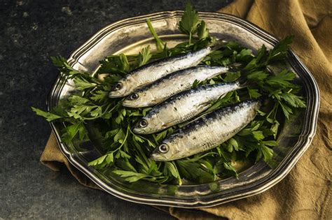 100+ Free Sardines & Fish Images .